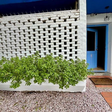 Puerta Azul Leilighet Punta del Este Eksteriør bilde